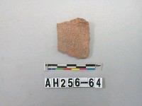 藏品(紅色夾砂陶片)的圖片